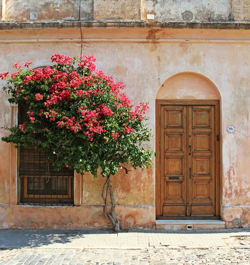 Colonia del Sacramento is misschien wel leukste stadje van Uruguay