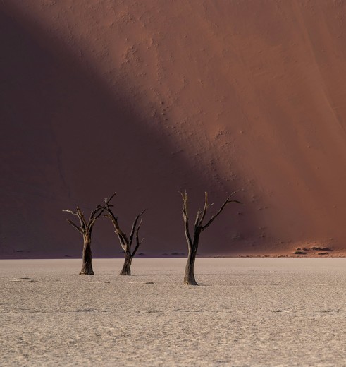 De Sossusvlei in Namibie