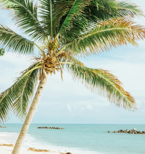 Op cruise naar de Bahamas vanuit Miami