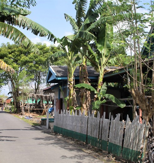 indonesie-sulawesi-bira-dorpje