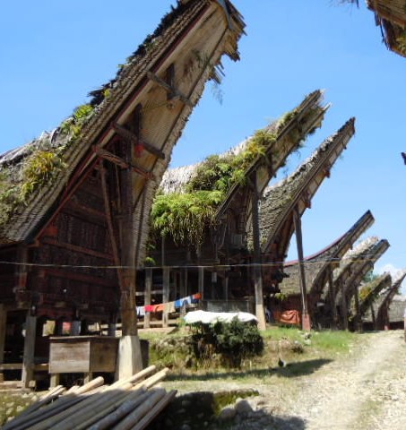 indonesie-sulawesi-torajaland-zadeldaken