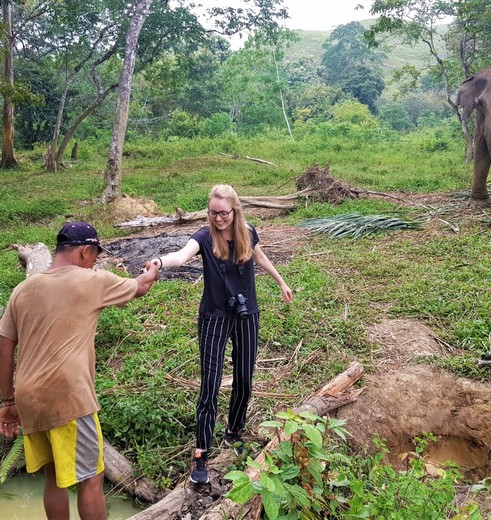 indonesie-sumatra-barumun-nagari-olifanten