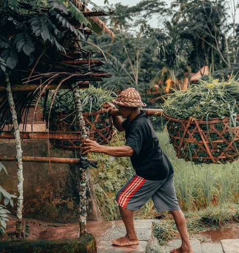 indonesie-ubud-man-aan-het-werk