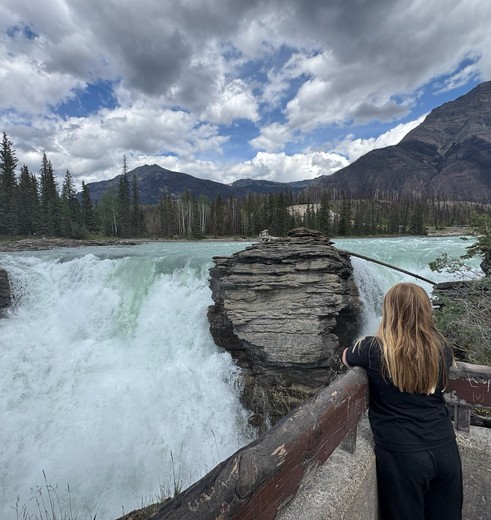 Athabasca-waterval in Jasper National Parf