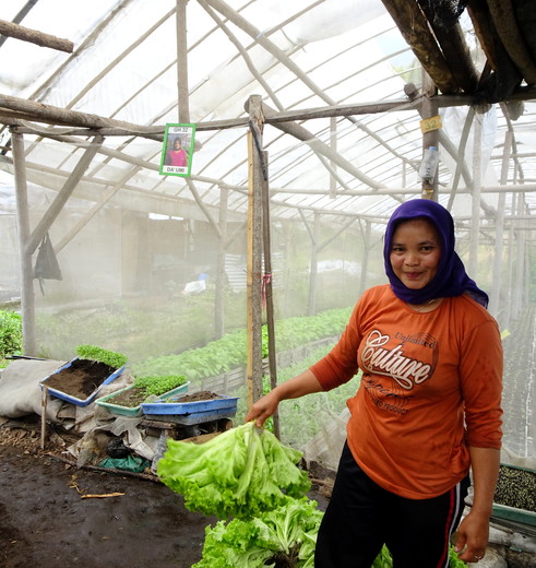 Green house op het landgoed Kaliandra