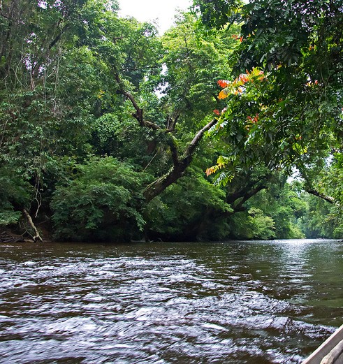 maleisie-West-Maleisie-tamannegara-boot3