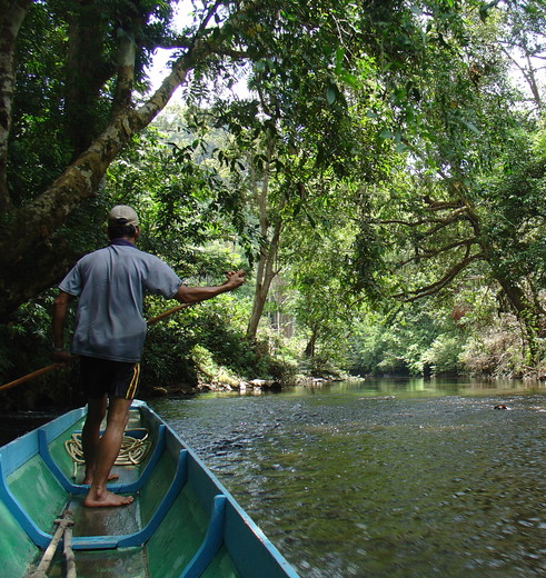 maleisie-batangai-riviertje(8)