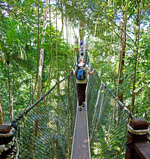 maleisie-tamannegara-canopi-walk_1_111087