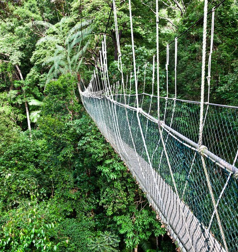 maleisie-tamannegara-hangbrug2