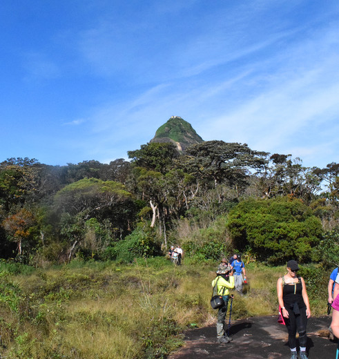Hiken bij Adam's Peak, Sri Lanka