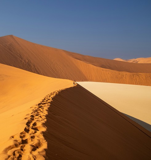 sossusvlei bigdaddydune namibie