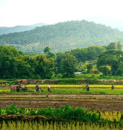 Fietsen over het platteland in Noord-Thailand