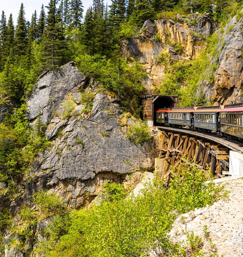Mooie treinrit bij Skagway, van Yukon naar Alaska