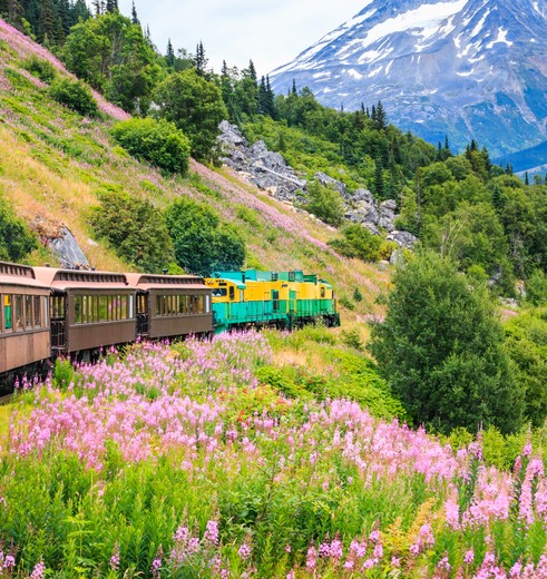 Treinreis bij Skagway, Alaska, Amerika