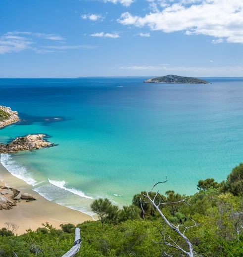 Uitzicht op Waterloo Bay in Wilsons Promontory, Australië