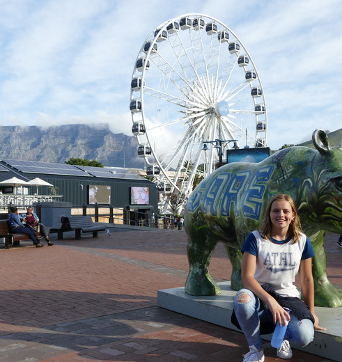 Reuzenrad bij V&A Waterfront in Kaapstad