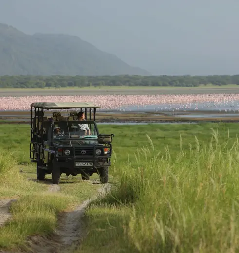 Safaritochten bij Lake Manyara