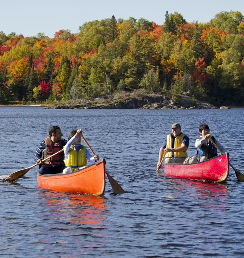 Algonquin Provincial Park een van de mooiste parken in Oost-Canada