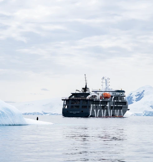 Fly-in cruise naar Antarctica vanuit Punta Arenas in Chili