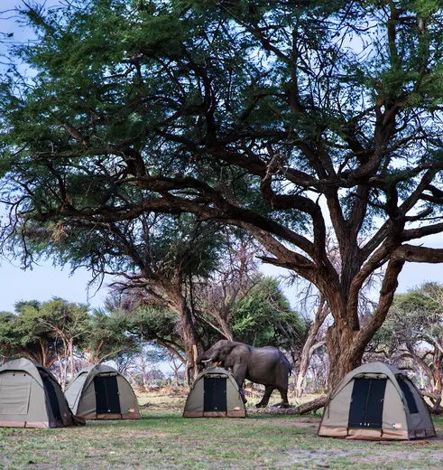Overnachten in dometenten tijdens een kampeersafari in Botswana