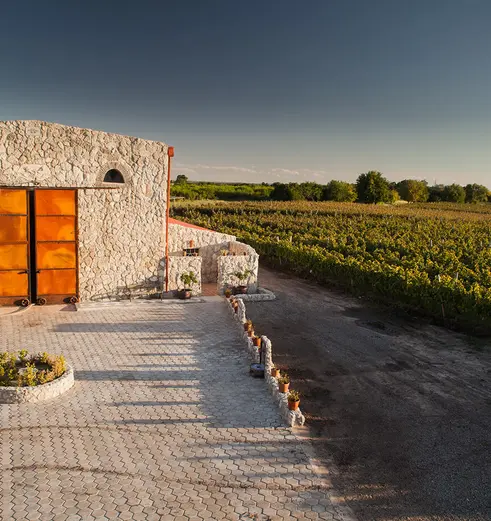 Uitzicht over de wijngaarden bij Carmelo Narbona Wine Lodge in Carmelo in Uruguay