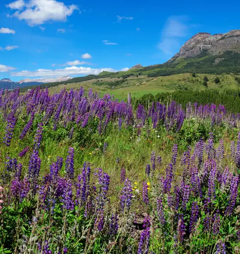 Coyhaique is de outdoor-hoofdstad van Patagonië met een spectaculaire ligging in een groene vallei tussen twee rivieren