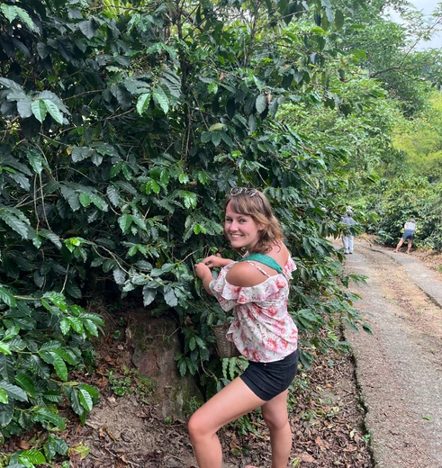 Helpen op een koffieplantage in Colombia