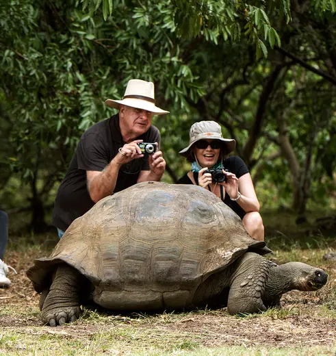 Oog in oog met een reuzenschildpad op de Galápagoseilanden