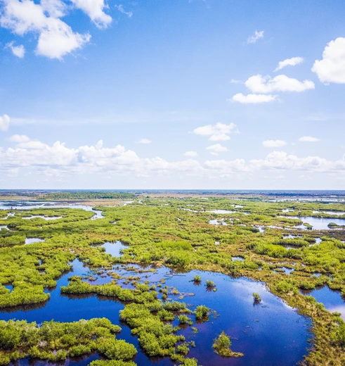 De Everglades in Florida