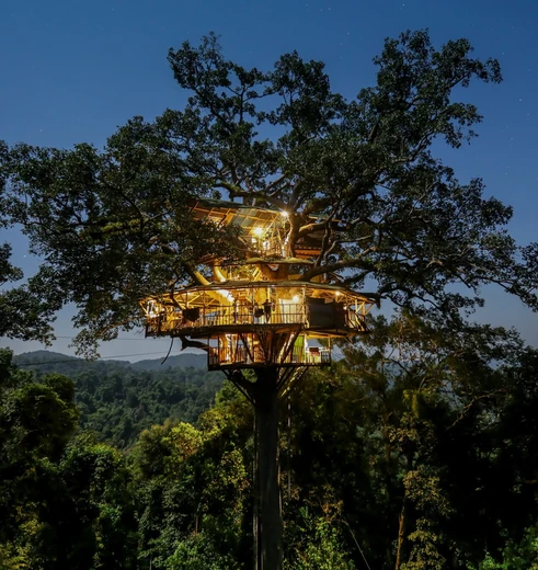 Zoef per zipline naar je overnachting in de treetop, bij Laos