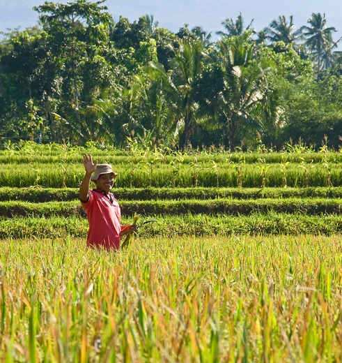 De vriendelijke bevolking op Lombok is hard aan het werk.