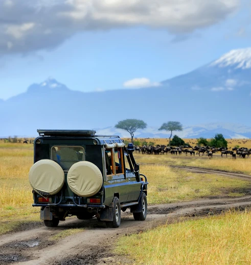 Gamedrive in de Masai Mara in Kenia