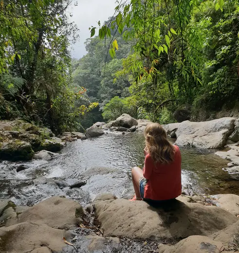 De groene jungle van Boquete