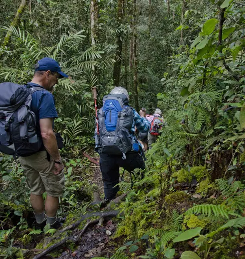 Maak een trekking in Crocker Range, Maleisië