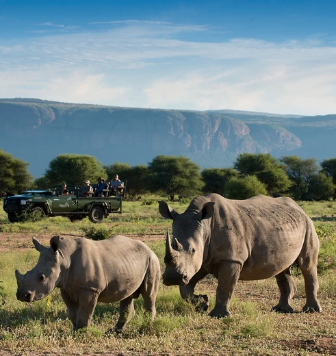 Marakele-National-Park in Zuid-Afrika