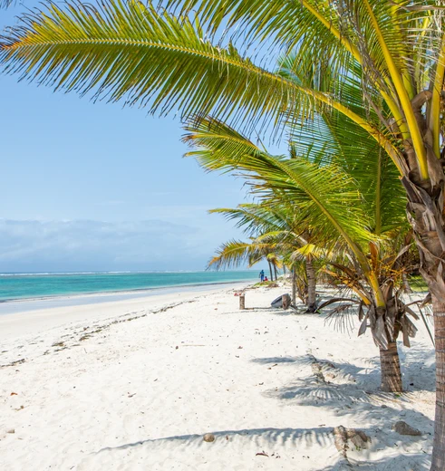 Maak een strandwandeling aan Diani en Galu Beach in Mombasa, Kenia