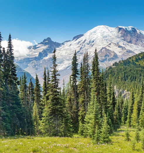 Mount Rainier National Park