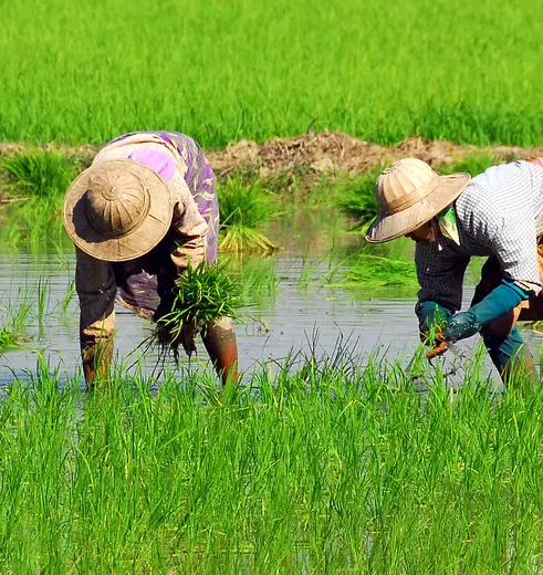 Locals op UNESCO werelderfgoed Pyay in Myanmar