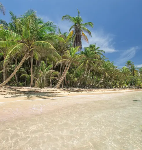 Bounty stranden en tropische palmbomen in Nicaragua