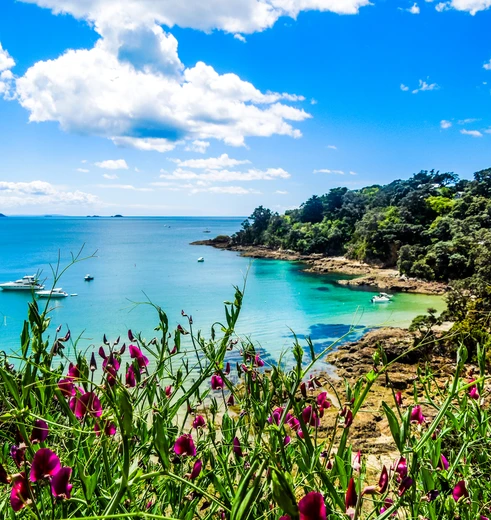 Relaxen op Waiheke Island, Hekerao Bay