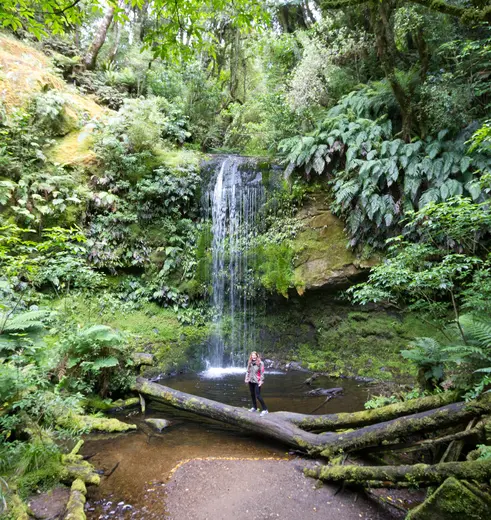Bossen en waterval The Catlins, Nieuw-Zeeland: