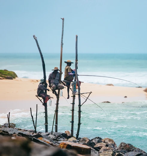 Paalvissers in Sri Lanka