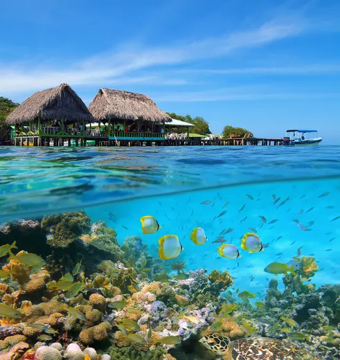 Snorkelen bij Bocas del Toro, Panama