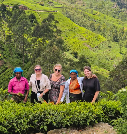 Bandarawela tussen de theevelden, Sri Lanka