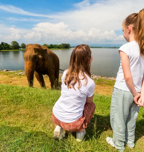 Samen olifanten bekijken bij Udawalawe National Park