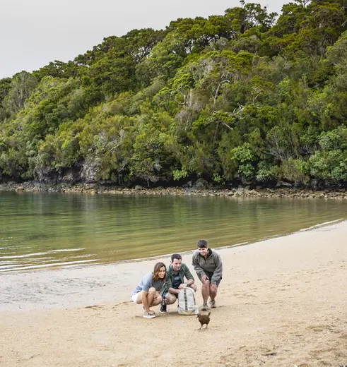 Wildlife spotten op Stewart Island in Nieuw-Zeeland