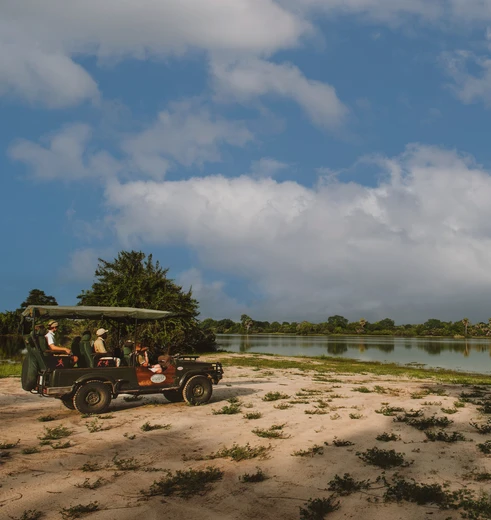 Spannende safari's in Nyerere National Park, Zuid-Tanzania