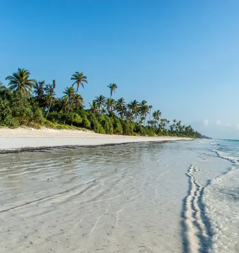De Tanzania safari afsluiten op de witte stranden van Zanzibar