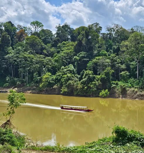 Op avontuur in de jungle van Taman Negara