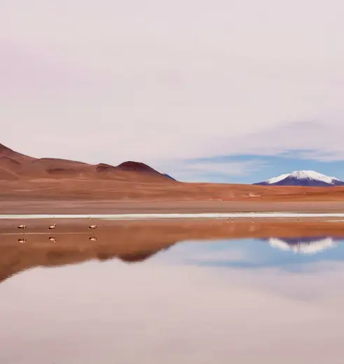 De zoutvlaktes van Uyuni in Bolivia